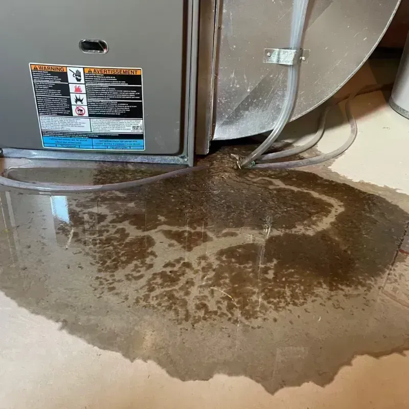 Appliance Leak Cleanup in Villa Ridge, MO